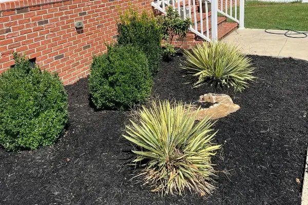 Landscaping Services