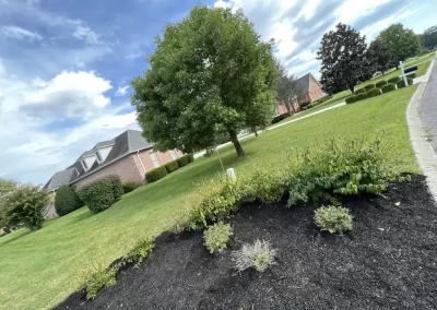 Reliable Excavating Contractors