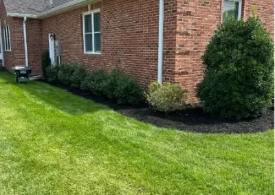 Trusted Excavation Services