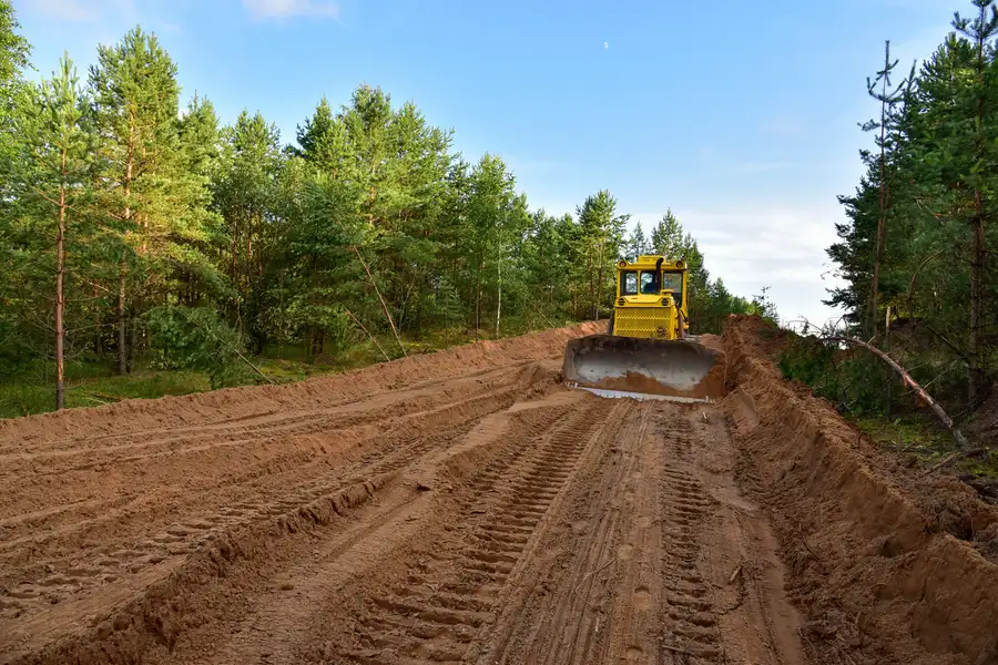 How Proper Land Clearing Prevents Pest Infestation Issues in Estill Springs, TN