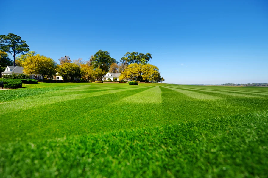 The Role Of Excavation In Healthy Lawn Care in Estill Springs, TN